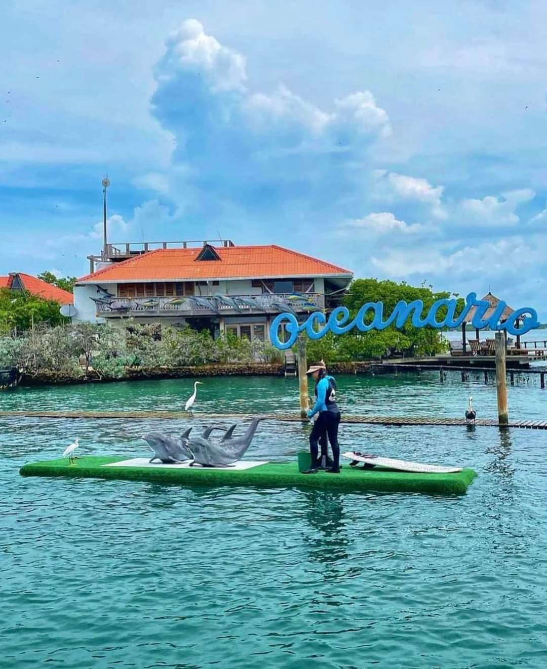 📍 TOUR ISLAS DEL ROSARIO GOLD CARTAGENA +OCEANARIO+ SNORKELING
