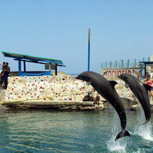 📍COMBO VIP PLAYA BLANCA SANTA MARTA+ACUARIO+ALMUERZO🏖️