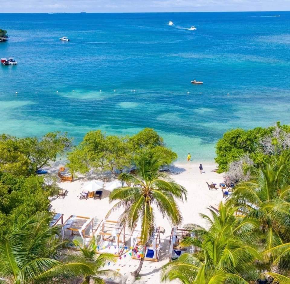 📍 TOUR ISLAS DEL ROSARIO VIP + BARÚ + PLANCTON LUMINOSO + SNORKELING 🌴🌊✨