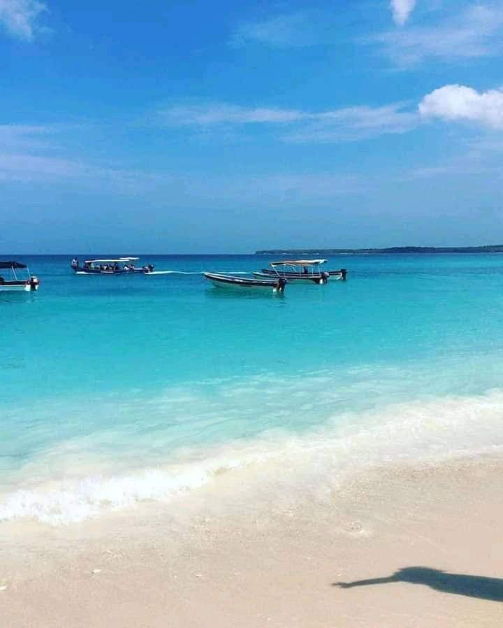 📍 TOUR ISLAS DEL ROSARIO VIP + BARÚ + PLANCTON LUMINOSO + SNORKELING 🌴🌊✨