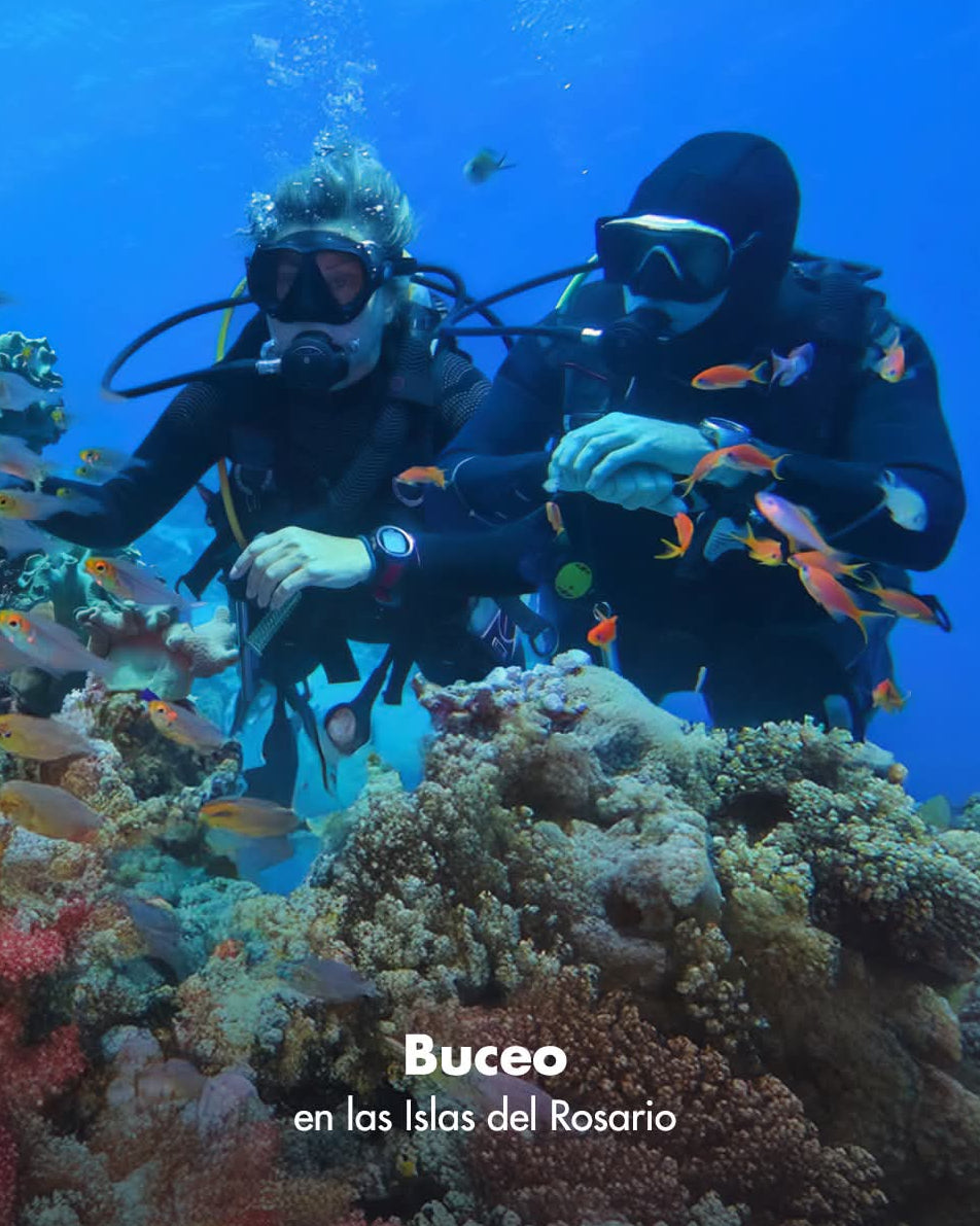 MINI CURSO DE BUCEO + PASADÍA EN BARÚ