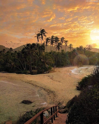 📍TOUR PARQUE TAYRONA • COLOMBIA 🇨🇴