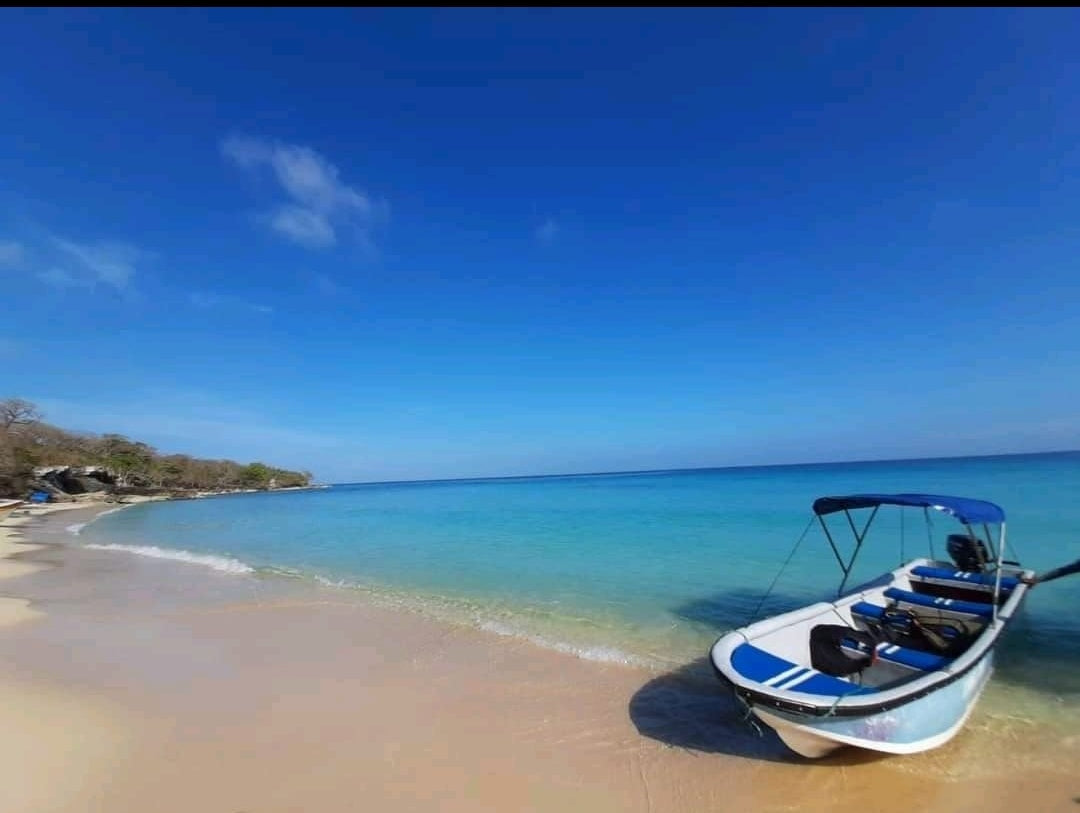 Tour Playa Blanca 🇨🇴 Barú+ océanario Paraiso y tierra