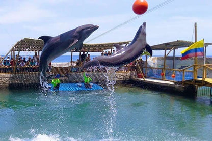 📍COMBO VIP PLAYA BLANCA SANTA MARTA+ACUARIO+ALMUERZO🏖️