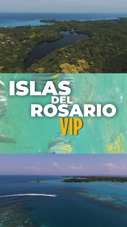 📍 TOUR ISLAS DEL ROSARIO VIP + BARÚ + PLANCTON LUMINOSO + SNORKELING 🌴🌊✨