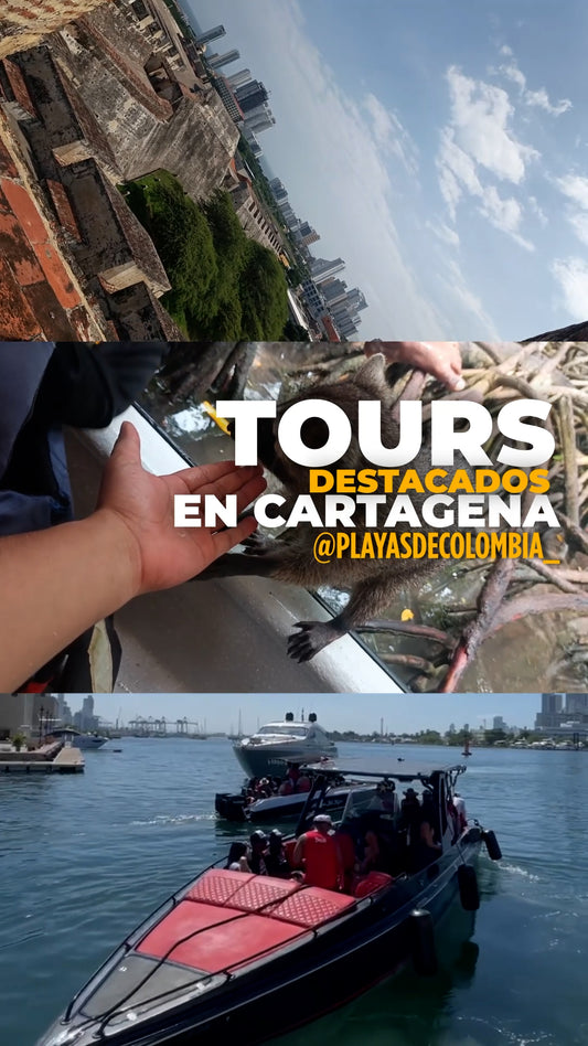 📍 COMBO 3 SUPER TOURS EN CARTAGENA 🚤