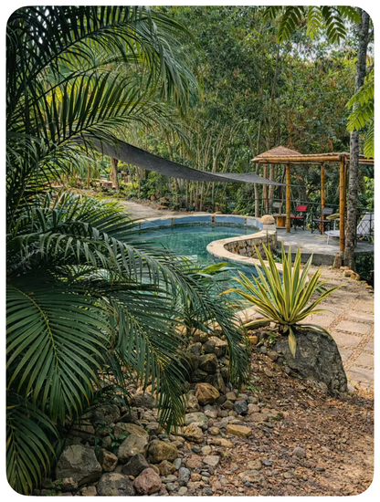 Cabaña Privada de Guadua en la Naturaleza - Carmen de Apicalá