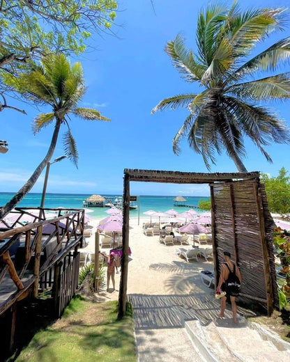 📍 TOUR ISLAS DEL ROSARIO VIP + BARÚ + PLANCTON LUMINOSO + SNORKELING 🌴🌊✨