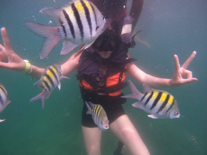 📍 TOUR ISLAS DEL ROSARIO VIP + BARÚ + PLANCTON LUMINOSO + SNORKELING 🌴🌊✨