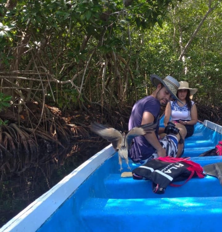 TOUR ECOLÓGICO CIÉNAGA LA CAIMANERA • DESDE COVEÑAS 🇨🇴