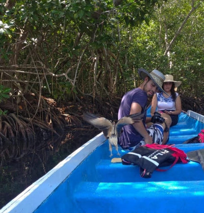 TOUR ECOLÓGICO CIÉNAGA LA CAIMANERA • DESDE COVEÑAS 🇨🇴