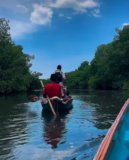 TOUR ECOLÓGICO CIÉNAGA LA CAIMANERA • DESDE COVEÑAS 🇨🇴