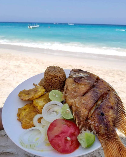 📍 TOUR ISLAS DEL ROSARIO VIP + BARÚ + PLANCTON LUMINOSO + SNORKELING 🌴🌊✨