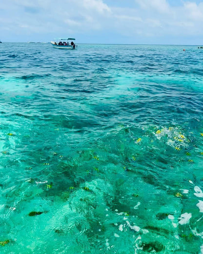 📍 TOUR ISLAS DEL ROSARIO VIP + BARÚ + PLANCTON LUMINOSO + SNORKELING 🌴🌊✨