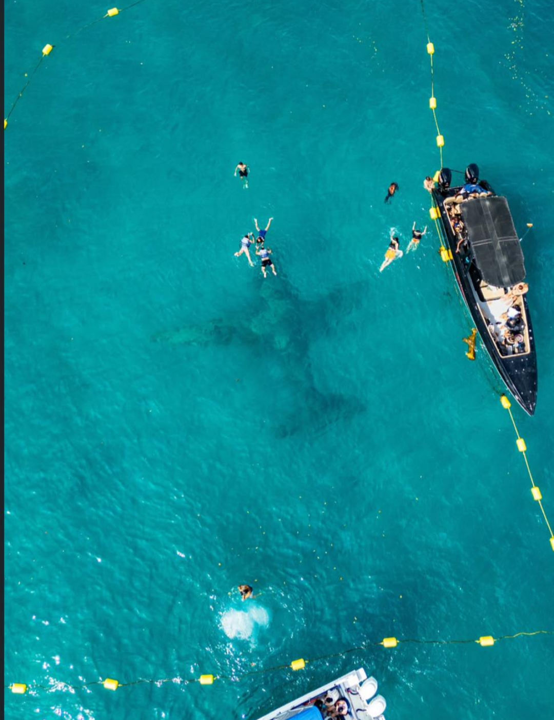 COMBO 5 ISLAS DEL ENCANTO GOLDEN CARTAGENA 🇨🇴