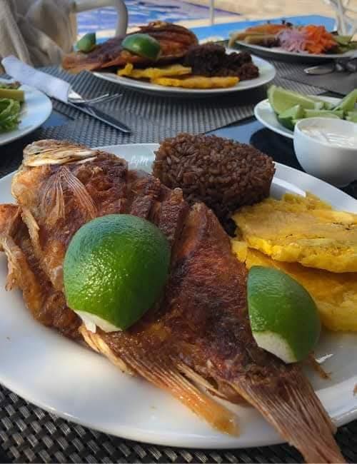 COMBO BARÚ+ ISLAS+ OCEANARIO+TARDECITA EN BOTE DEPORTIVO DE LUJO CON OPEN BAR