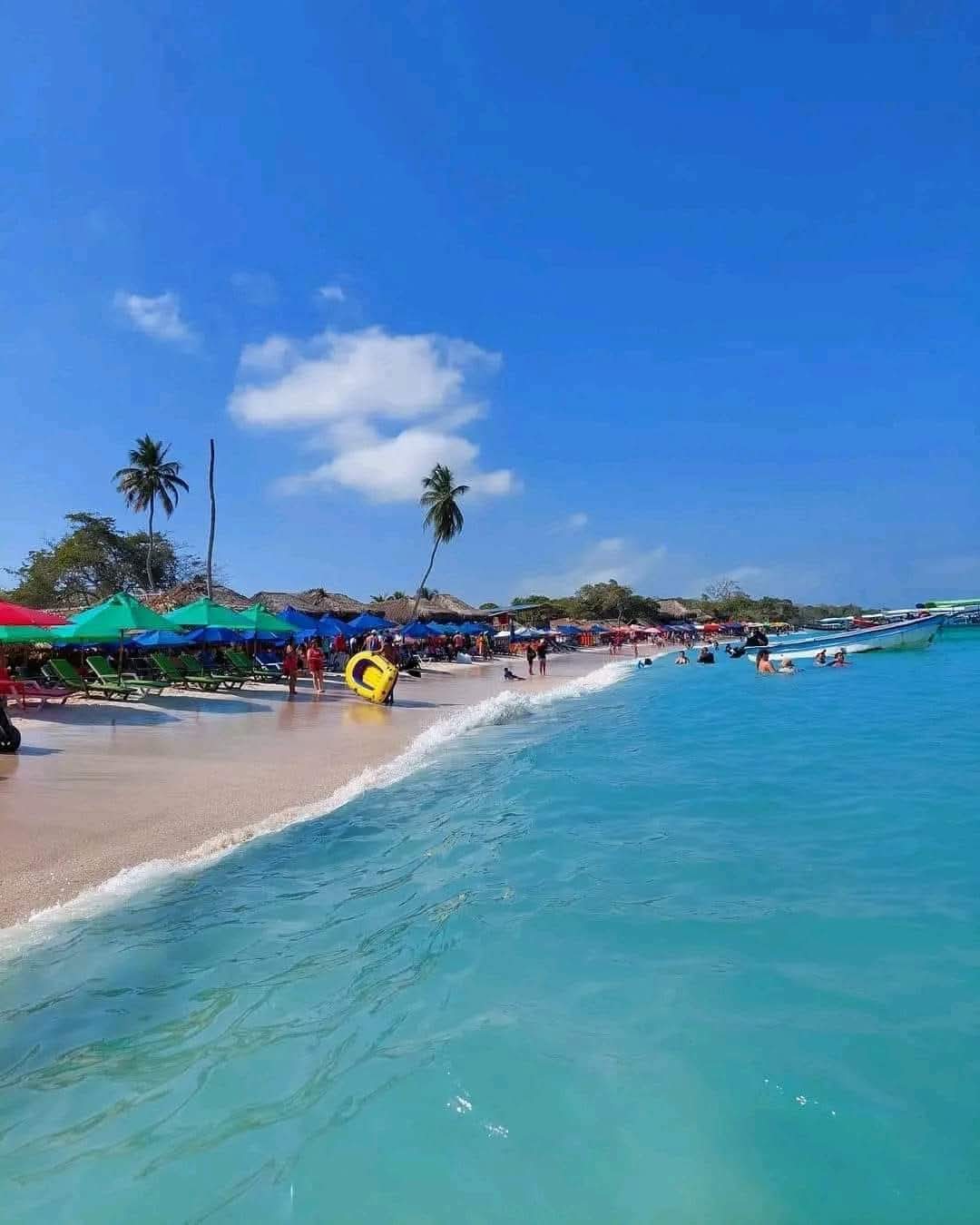 COMBO BARÚ+ ISLAS+ OCEANARIO+TARDECITA EN BOTE DEPORTIVO DE LUJO CON OPEN BAR