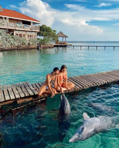 📍 TOUR ISLAS DEL ROSARIO VIP + BARÚ + PLANCTON LUMINOSO + SNORKELING 🌴🌊✨