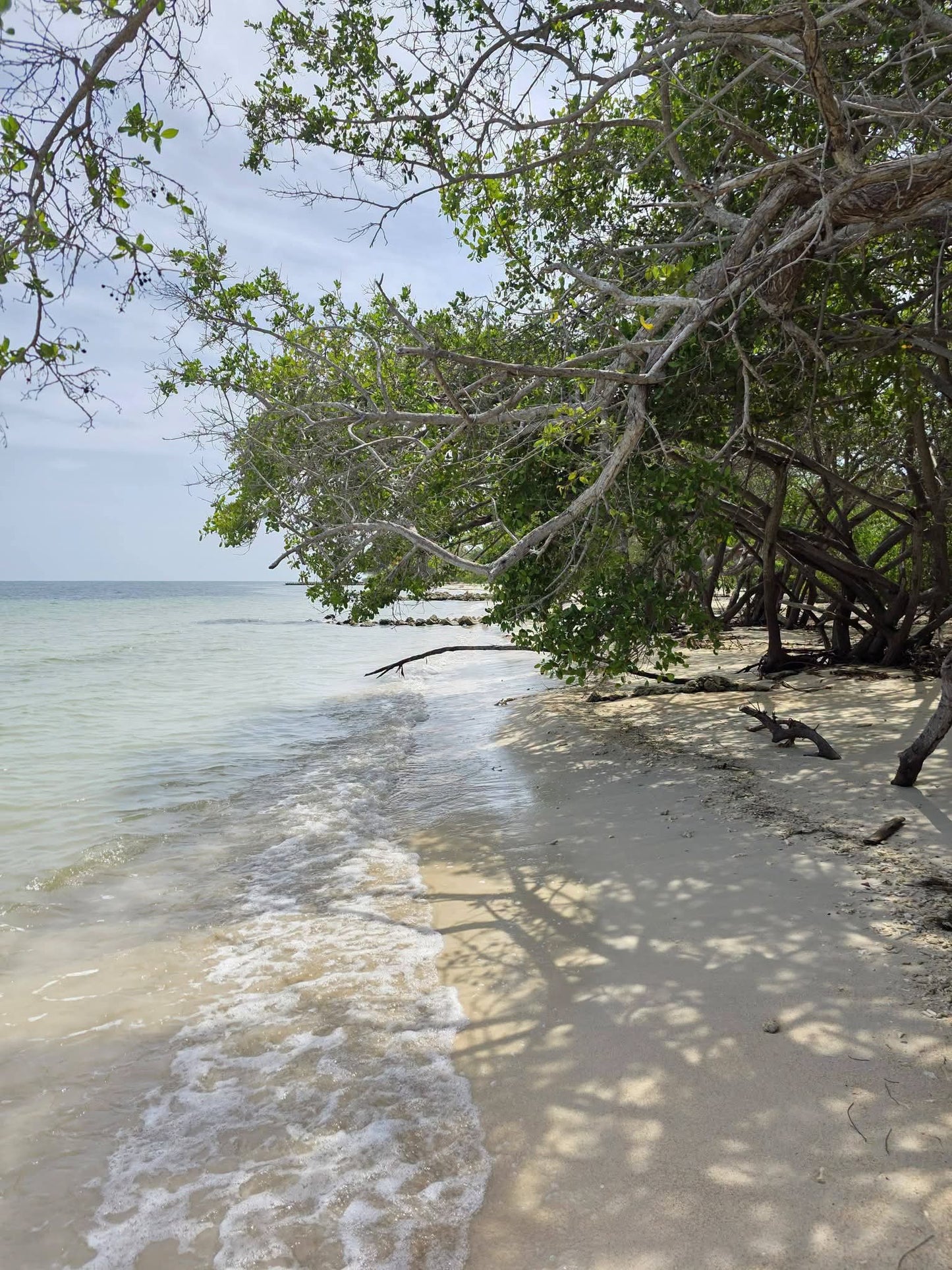 PASADÍA ISLA DEL ENCANTO BARÚ ISLAS DEL ROSARIO CARTAGENA 🇨🇴