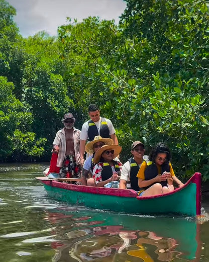 TOUR ECOLÓGICO CIÉNAGA LA CAIMANERA • DESDE COVEÑAS 🇨🇴