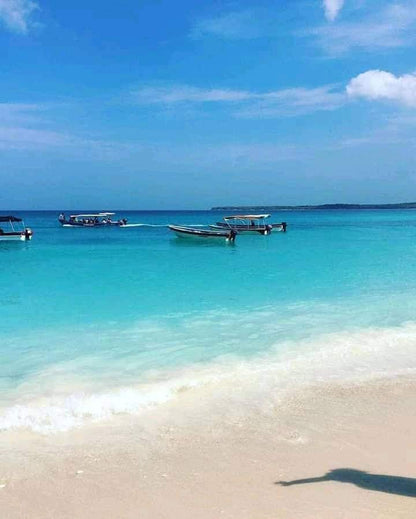📍 TOUR ISLAS DEL ROSARIO VIP + BARÚ + PLANCTON LUMINOSO + SNORKELING 🌴🌊✨