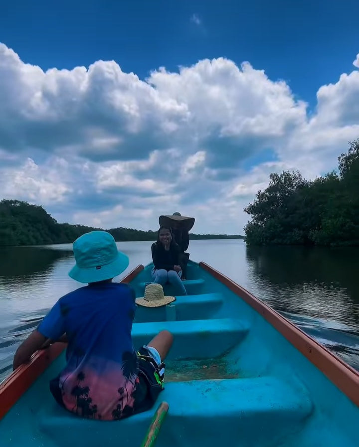 TOUR ECOLÓGICO CIÉNAGA LA CAIMANERA • DESDE COVEÑAS 🇨🇴