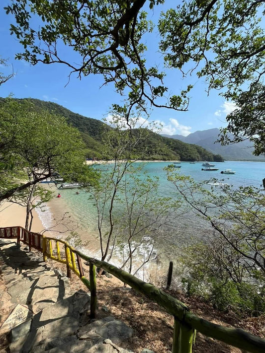 🐒 TOUR PARQUE TAYRONA • PLAYA CRISTAL 🇨🇴 ✨