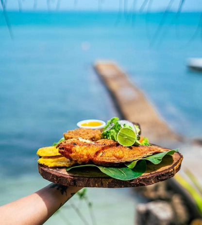 📍 TOUR ISLAS DEL ROSARIO VIP + BARÚ + PLANCTON LUMINOSO + SNORKELING 🌴🌊✨