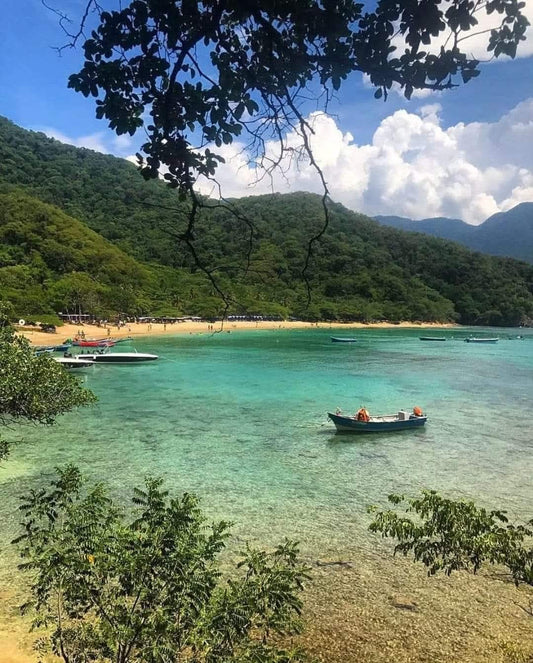 🐒 TOUR PARQUE TAYRONA • PLAYA CRISTAL 🇨🇴 ✨